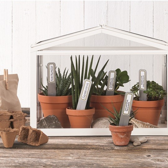 Diverse ghivece cu plante cu etichete în pământ