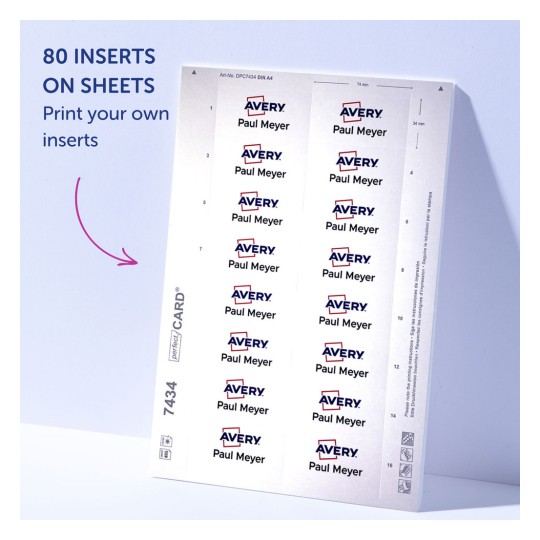 Imaginea arată foi cu 80 de etichete inserabile care pot fi imprimate. Fiecare etichetă are numele 'Paul Meyer' și sigla 'Avery'.