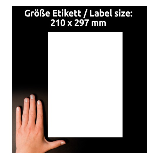 Comparație de dimensiuni cu mâna, articol: J8867-5, o coală cu etichete magnetice, format: 210 x 297 mm, culoare: alb?