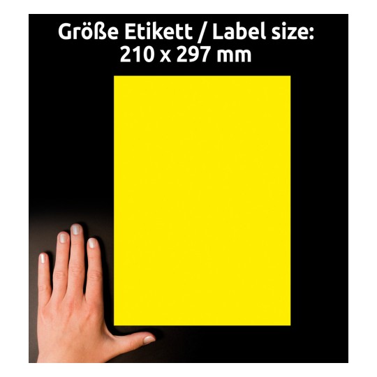 Comparare dimensiuni cu mâna, Articol: L6111-20, o coală de etichete din folie rezistentă la intemperii, format: 210 x 297 mm, culoare: galben?