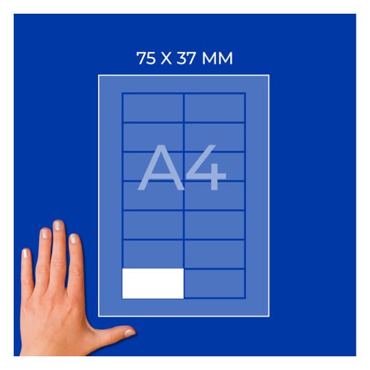 Diagramă pe foaie A4 cu etichetă de 75 x 37 mm și o mână în colțul din stânga jos?