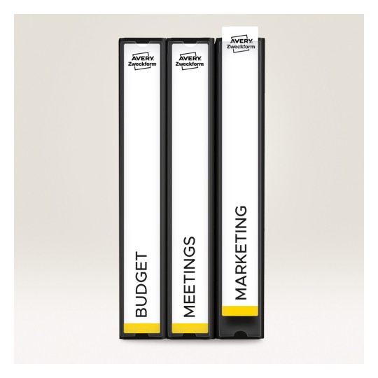 Imaginea arată trei dosare negre etichetate 'BUGET', 'ÎNTÂLNIRI' și 'MARKETING'. Dosarele au o zonă albă pentru etichetare și o etichetă galbenă la baza dosarului de marketing.